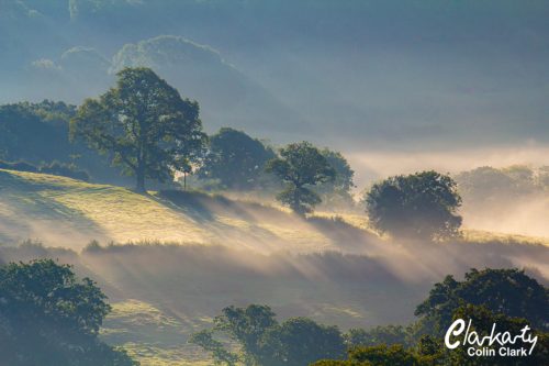 Misty morning landscape in Dorset